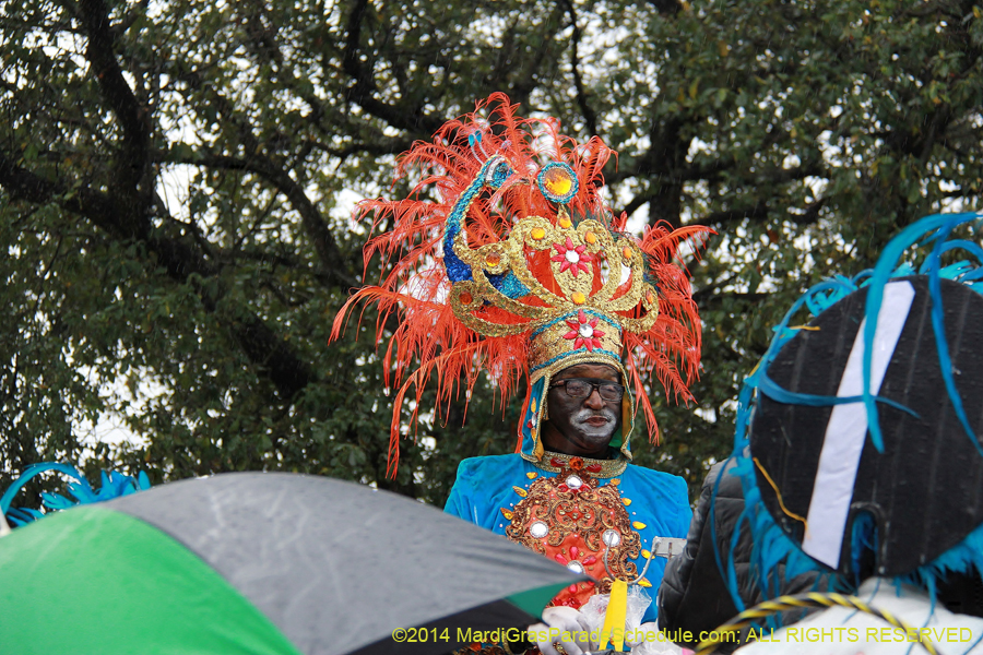 2014-Krewe-of-Zulu-SAPC-11164