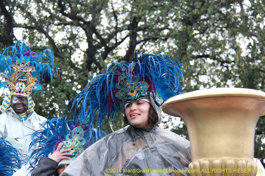 2014-Krewe-of-Zulu-SAPC-11167