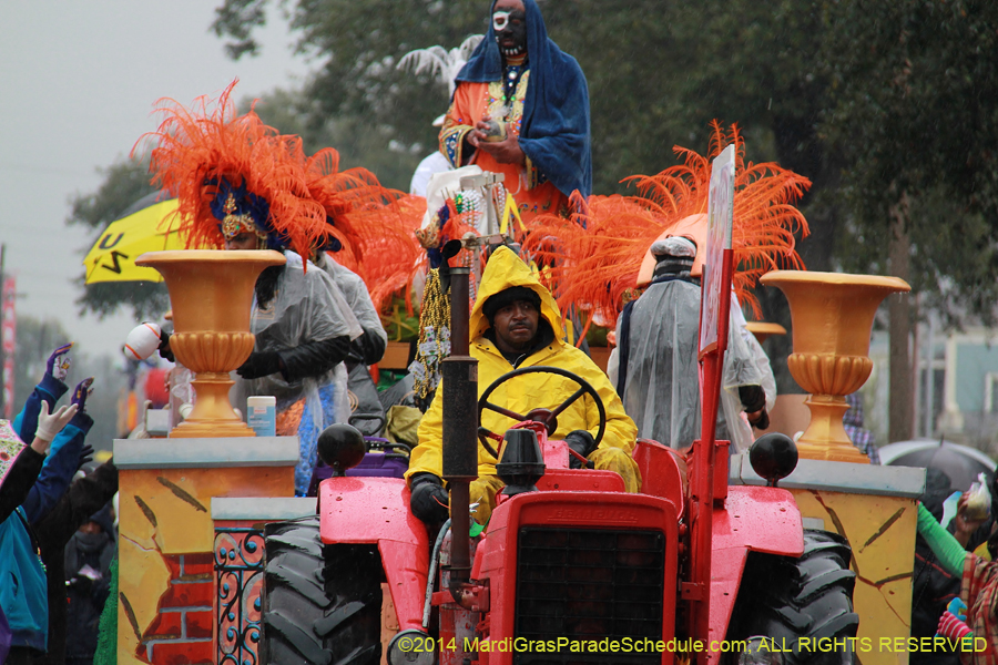 2014-Krewe-of-Zulu-SAPC-11170