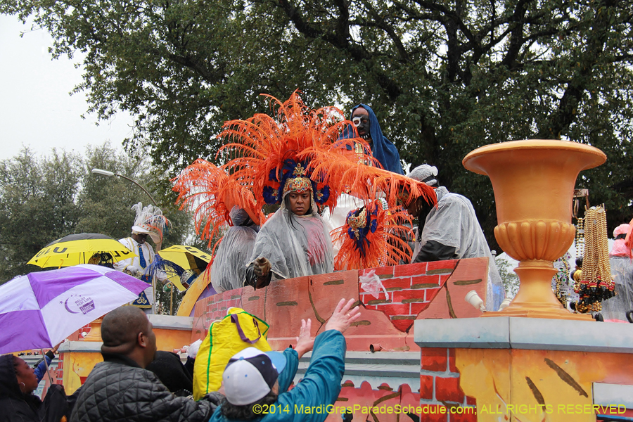 2014-Krewe-of-Zulu-SAPC-11171