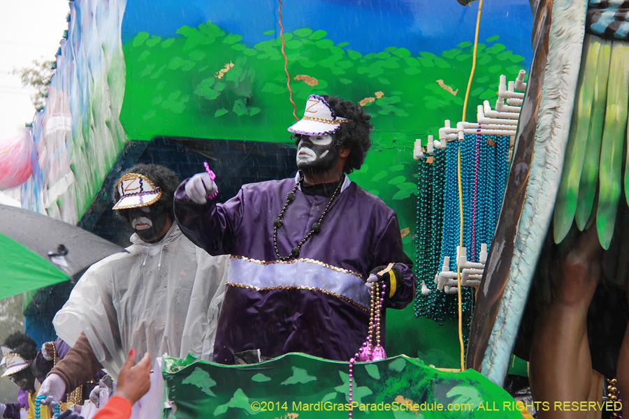 2014-Krewe-of-Zulu-SAPC-11247