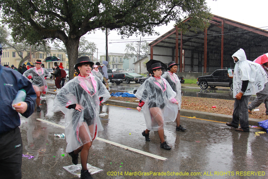 2014-Krewe-of-Zulu-SAPC-11257