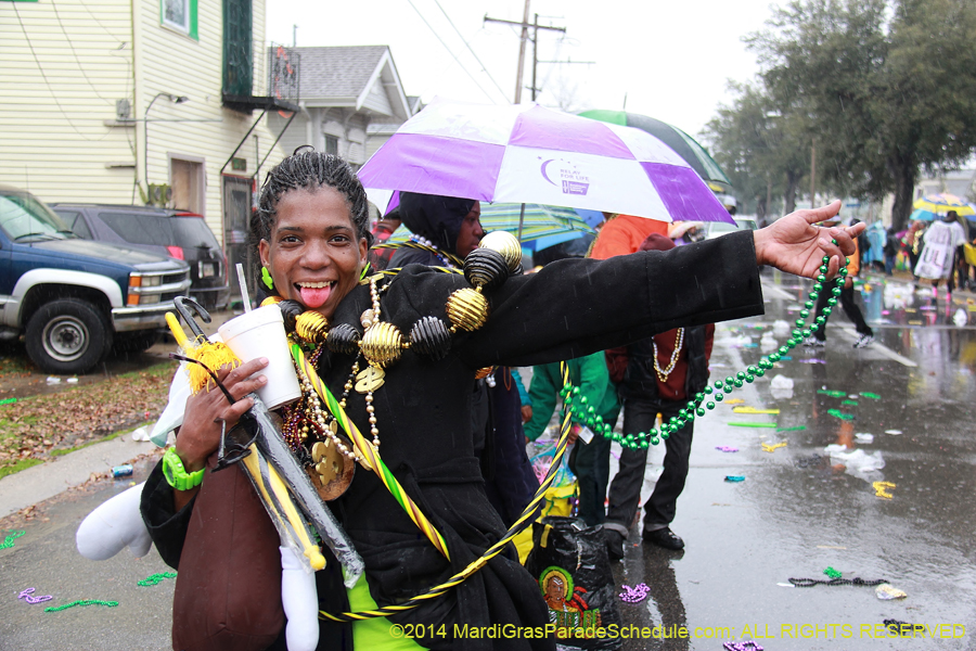 2014-Krewe-of-Zulu-SAPC-11279