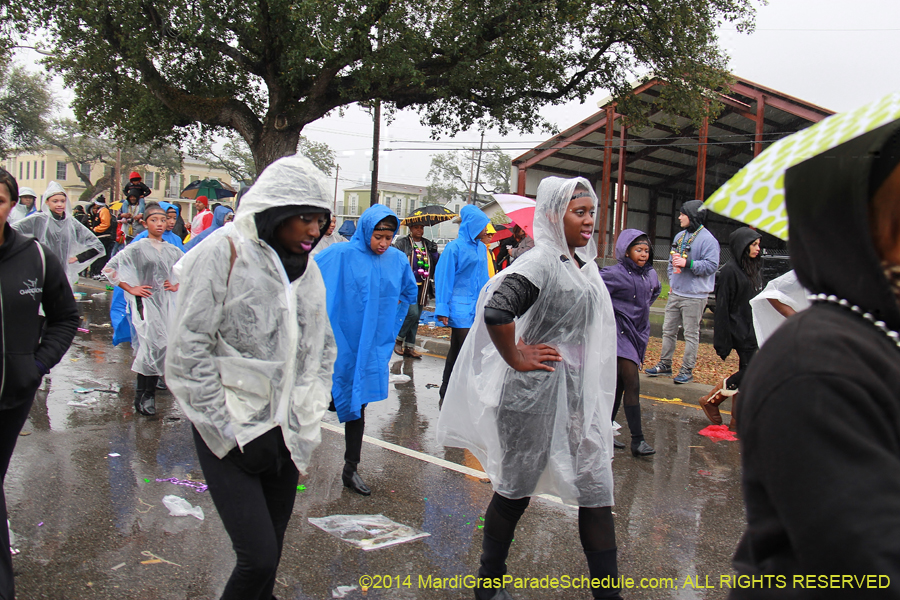 2014-Krewe-of-Zulu-SAPC-11282