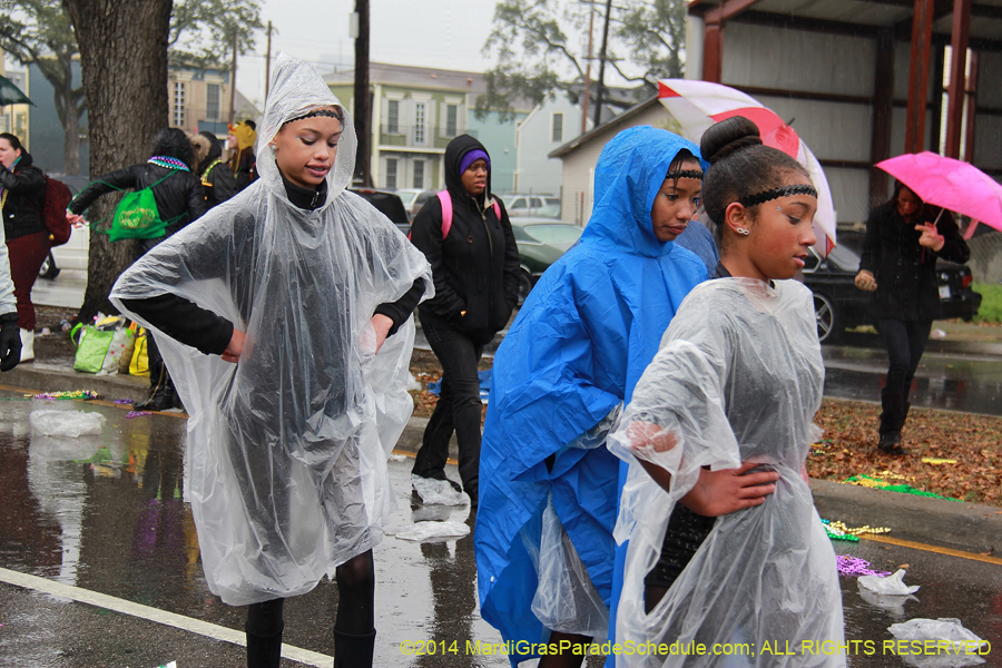 2014-Krewe-of-Zulu-SAPC-11284