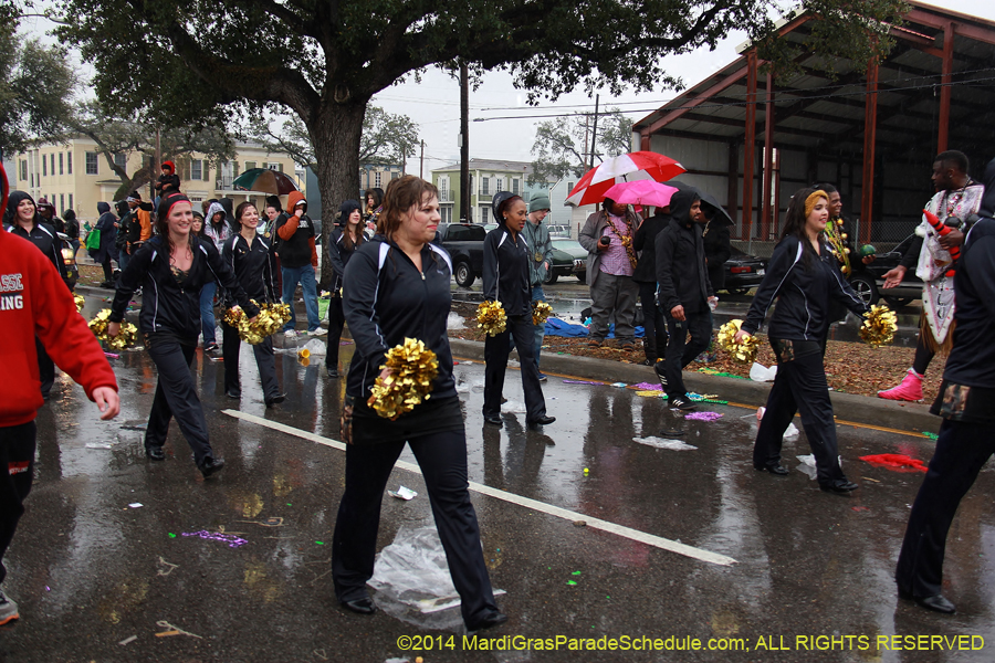 2014-Krewe-of-Zulu-SAPC-11301