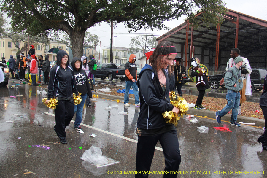 2014-Krewe-of-Zulu-SAPC-11302