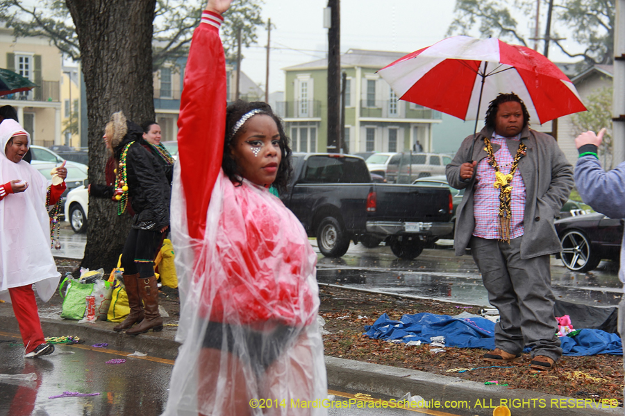 2014-Krewe-of-Zulu-SAPC-11318