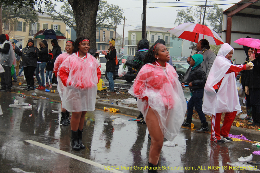 2014-Krewe-of-Zulu-SAPC-11319