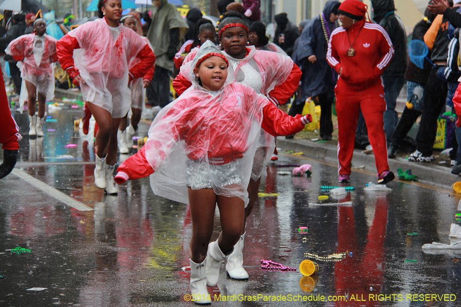 2014-Krewe-of-Zulu-SAPC-11322