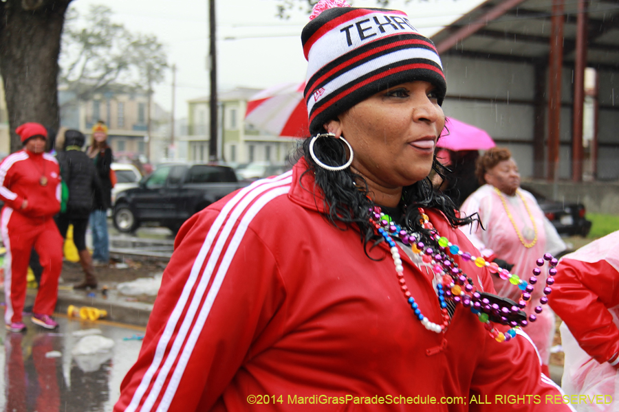 2014-Krewe-of-Zulu-SAPC-11323