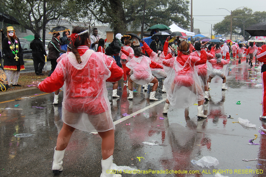 2014-Krewe-of-Zulu-SAPC-11326