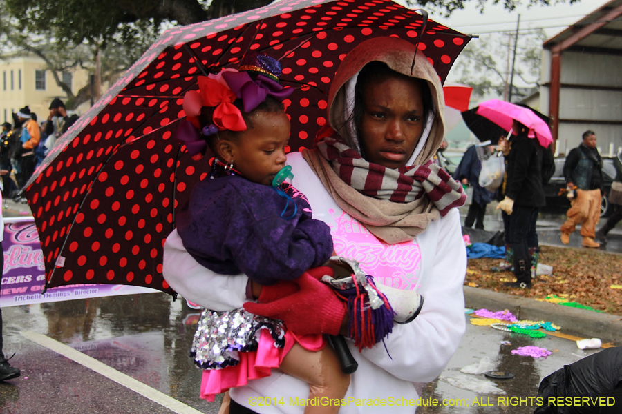 2014-Krewe-of-Zulu-SAPC-11334