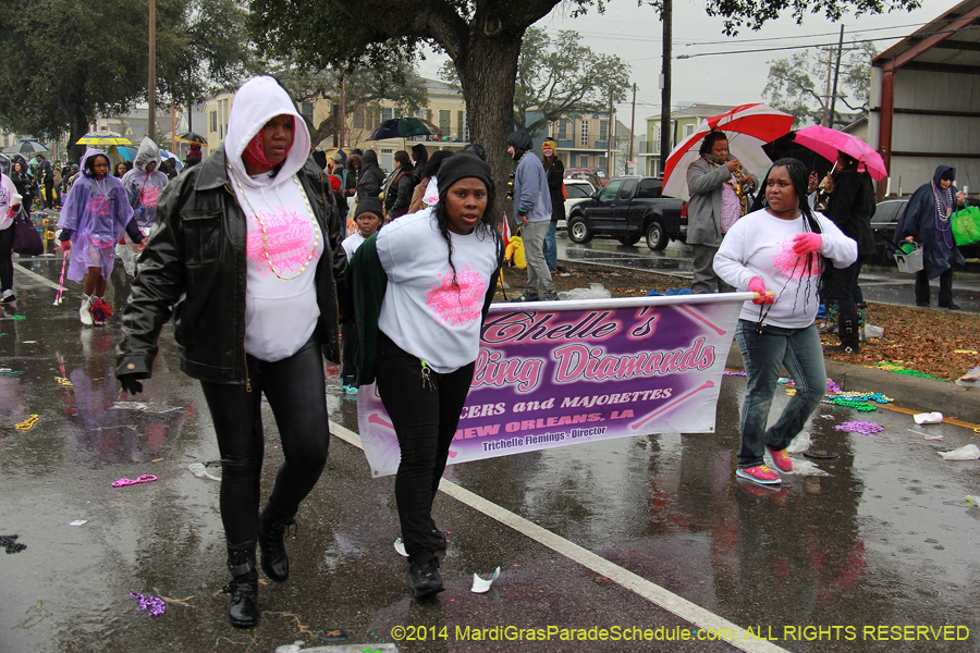 2014-Krewe-of-Zulu-SAPC-11335