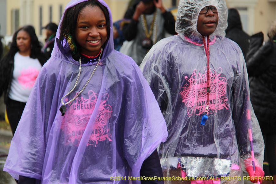 2014-Krewe-of-Zulu-SAPC-11336