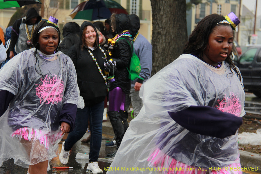 2014-Krewe-of-Zulu-SAPC-11338