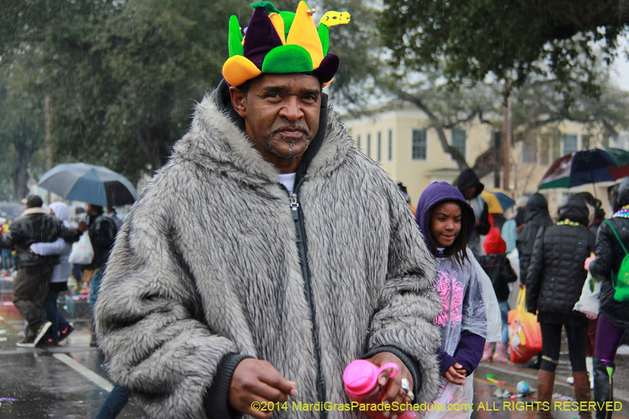 2014-Krewe-of-Zulu-SAPC-11339