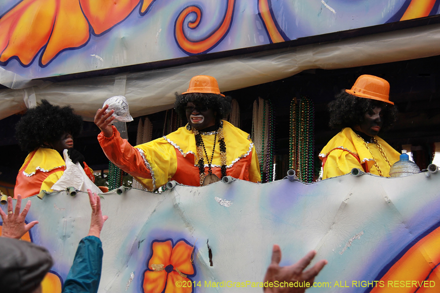 2014-Krewe-of-Zulu-SAPC-11362