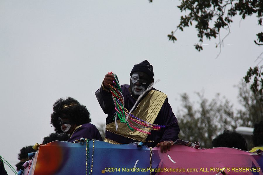 2014-Krewe-of-Zulu-SAPC-11389