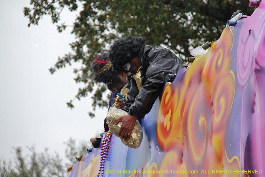 2014-Krewe-of-Zulu-SAPC-11394