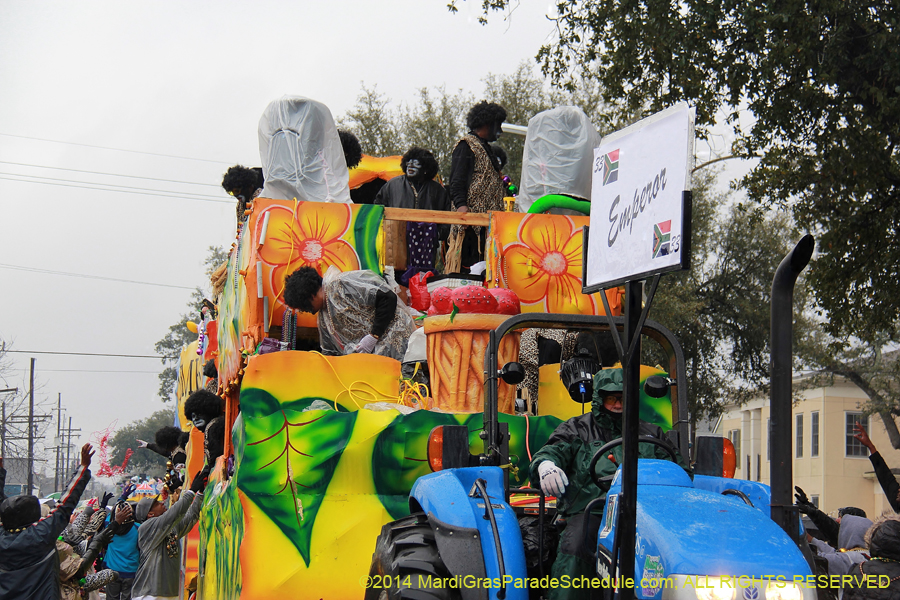 2014-Krewe-of-Zulu-SAPC-11411