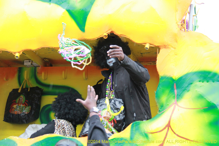 2014-Krewe-of-Zulu-SAPC-11415