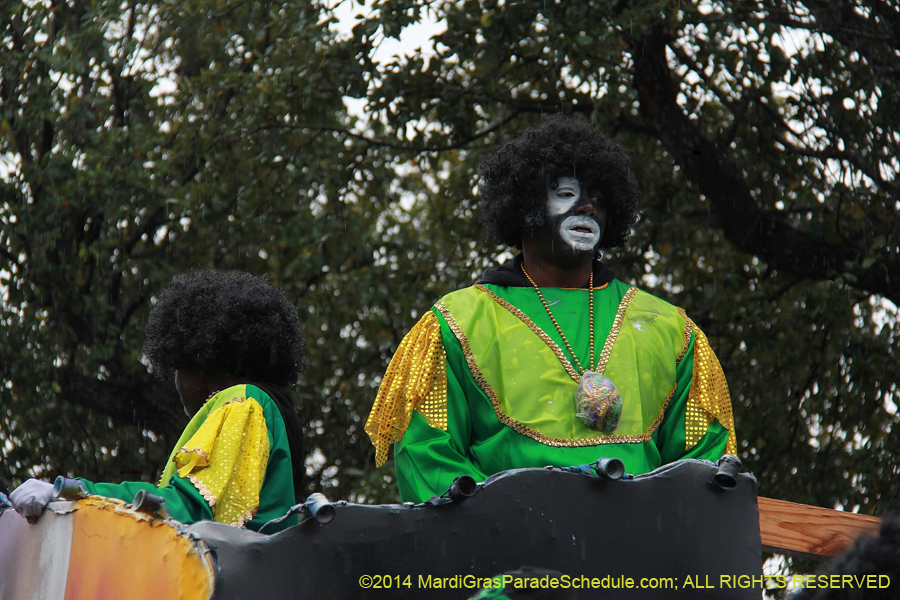 2014-Krewe-of-Zulu-SAPC-11447