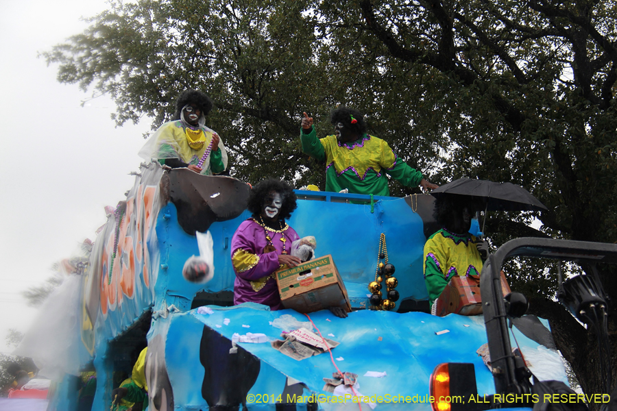 2014-Krewe-of-Zulu-SAPC-11503