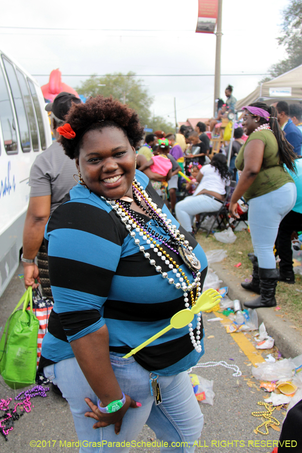 Krewe-of-Zulu-2017-12464