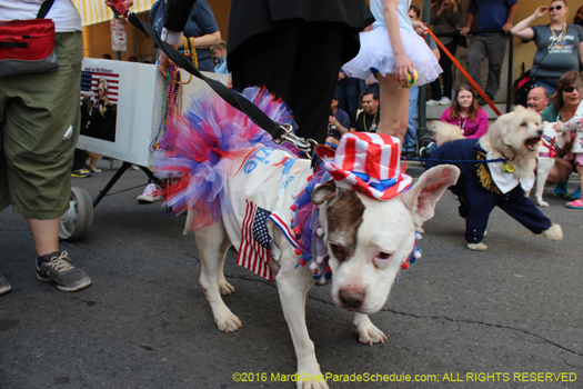 2016: From the Dog House to the White House - photo by H. Cross