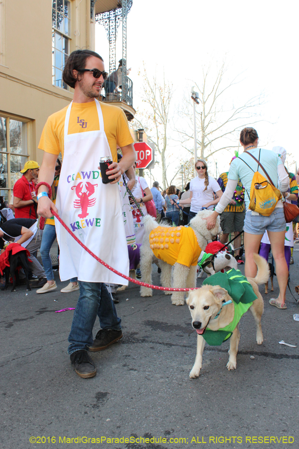 2016-Mystic-Krewe-of-Barkus-hc005489