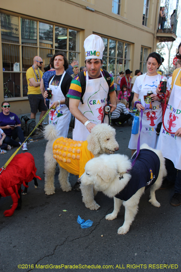 2016-Mystic-Krewe-of-Barkus-hc005490