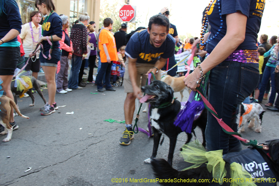 2016-Mystic-Krewe-of-Barkus-hc005513