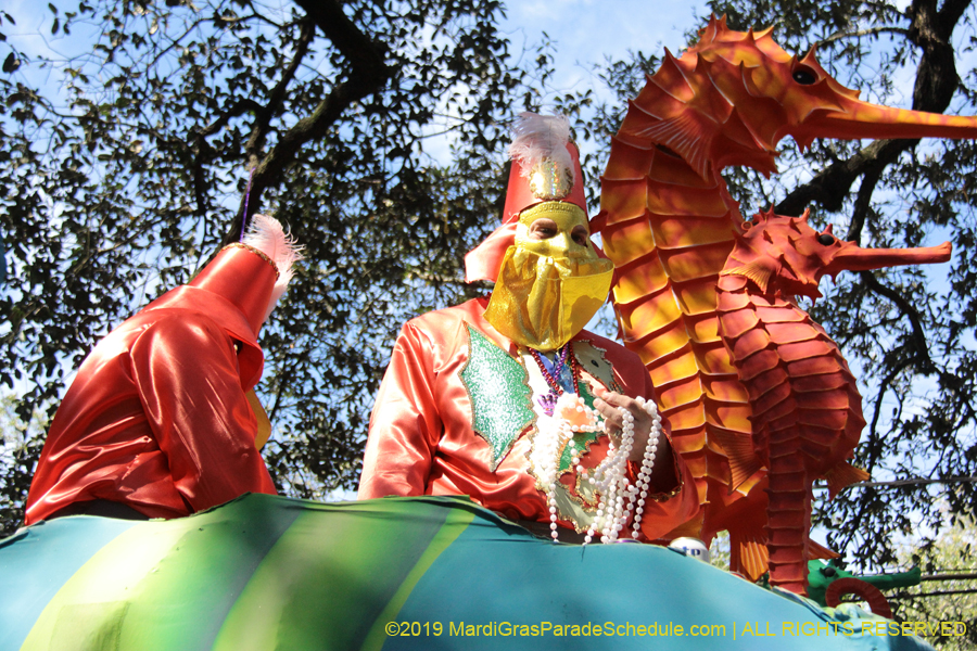 Krewe-of-Carrollton-2019-003095