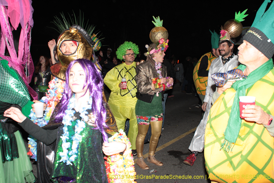 Chewbacchus-2019-000888