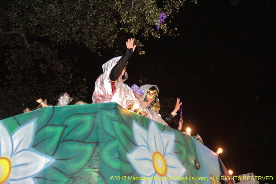 Krewe-of-Cleopatra-2017-02020