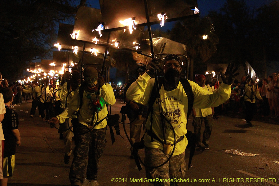 2014-Krewe-of-Endymion-11115