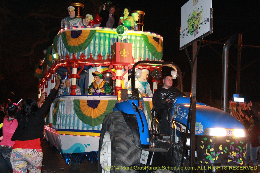 2014-Krewe-of-Endymion-11152