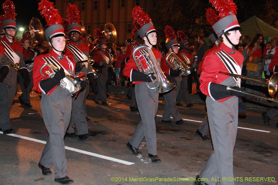 2014-Krewe-of-Endymion-11160