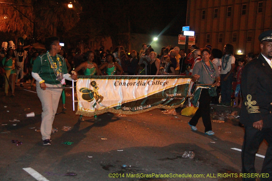 2014-Krewe-of-Endymion-11190