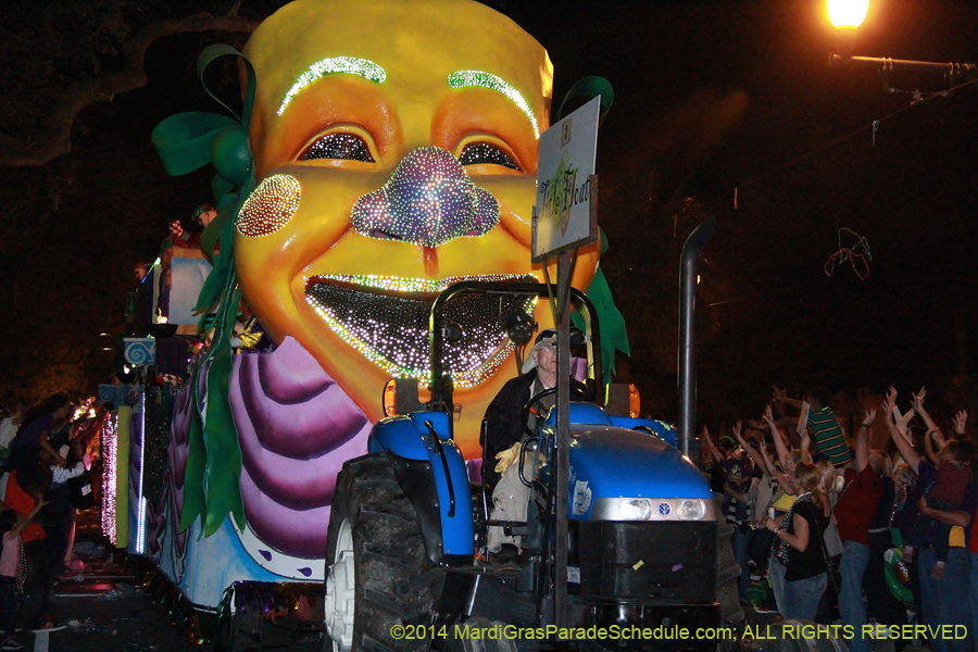 2014-Krewe-of-Endymion-11199