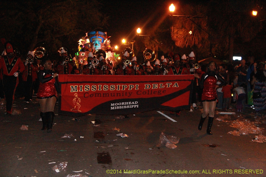 2014-Krewe-of-Endymion-11214