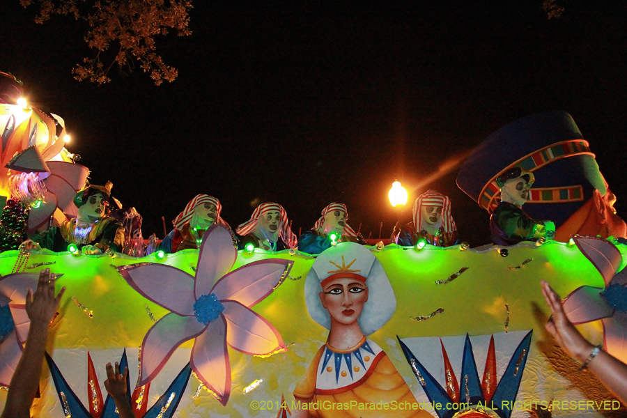 2014-Krewe-of-Endymion-11220