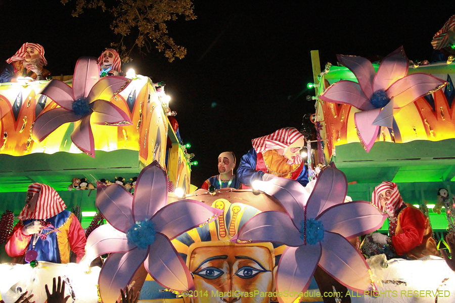 2014-Krewe-of-Endymion-11224