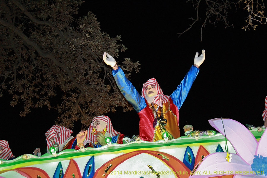 2014-Krewe-of-Endymion-11233