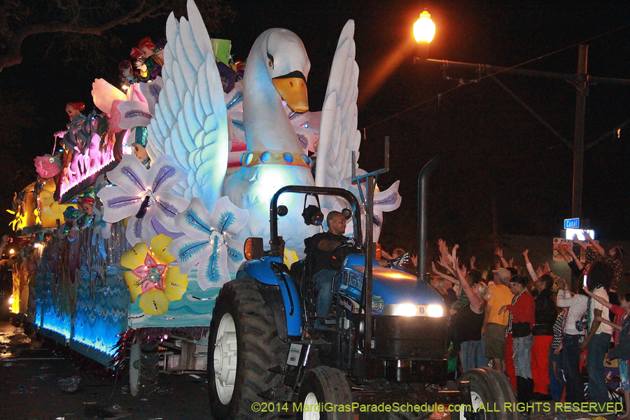 2014-Krewe-of-Endymion-11243