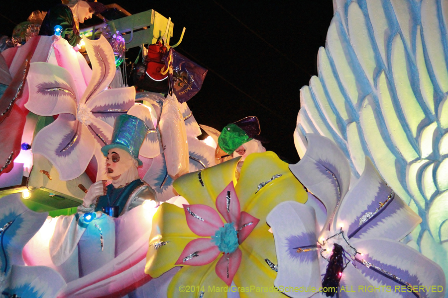 2014-Krewe-of-Endymion-11244