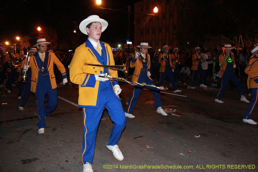 2014-Krewe-of-Endymion-11259