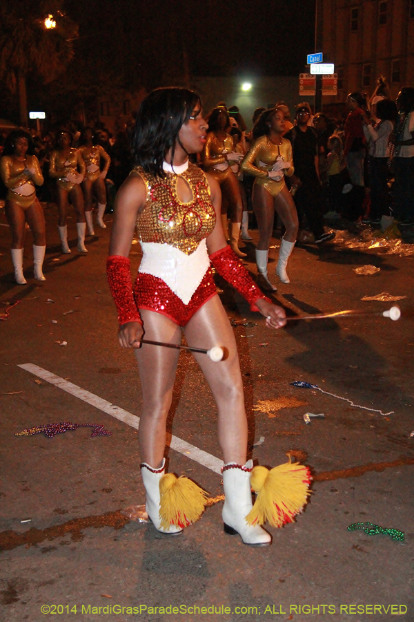 2014-Krewe-of-Endymion-11359