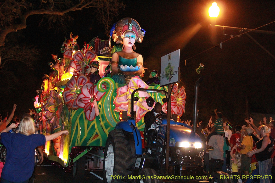 2014-Krewe-of-Endymion-11411